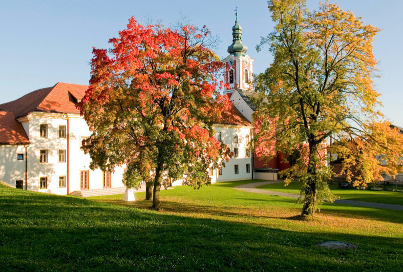 Zámek Pacov, Czech Republic (Czechia)